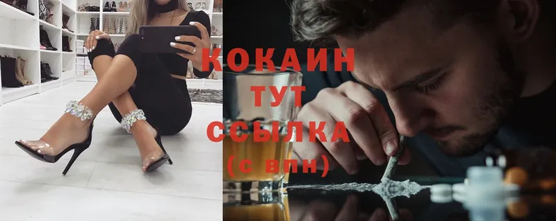 Cocaine FishScale  что такое   Анадырь 